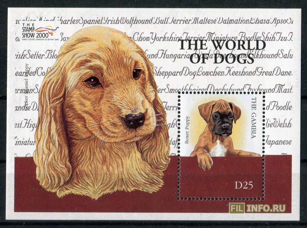 Стоит 2000 собаки 2000. Миллион собак. Породы собак с фотографиями и названиями. Марки с собаками. 2000 dogs в рублях.